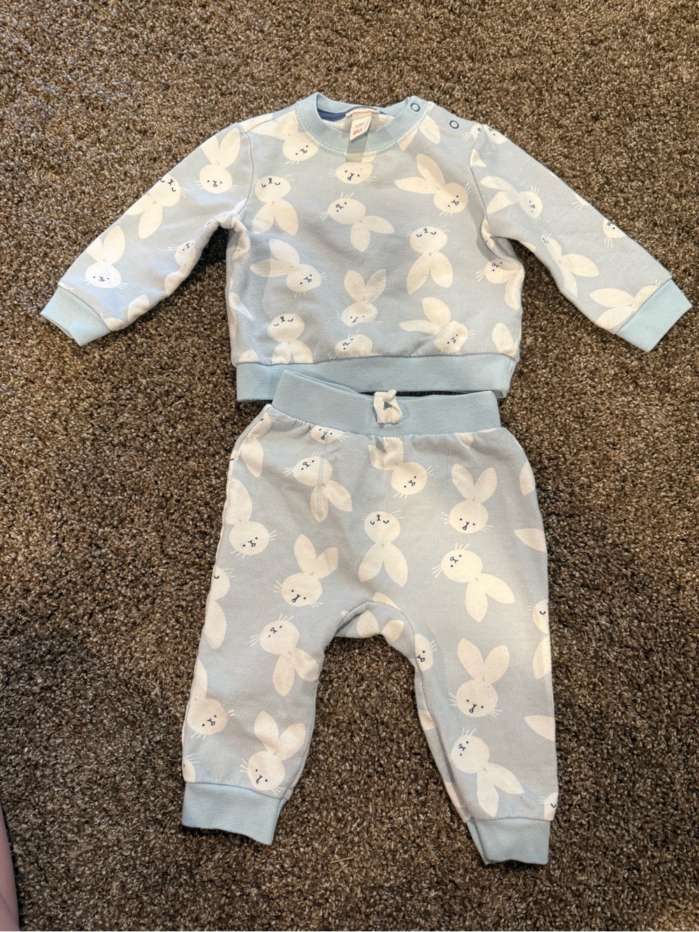 Cat & Jack Light Blue Bunny Print Set